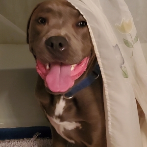 Fundraising Page: Kristen McKeever